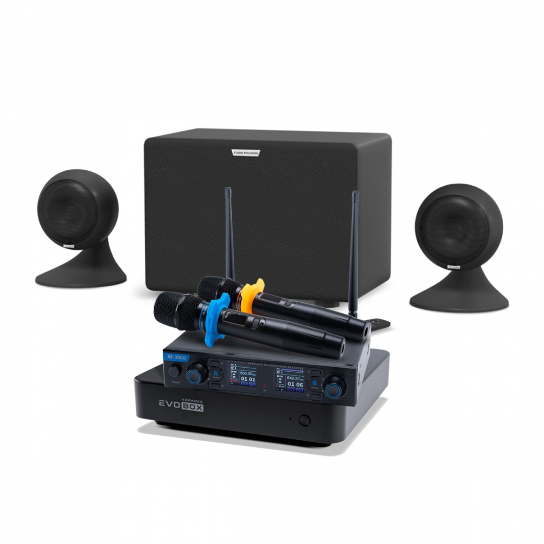 караоке-комплект EVOBOX + EvoSound Sphere 2.1 в Кургане