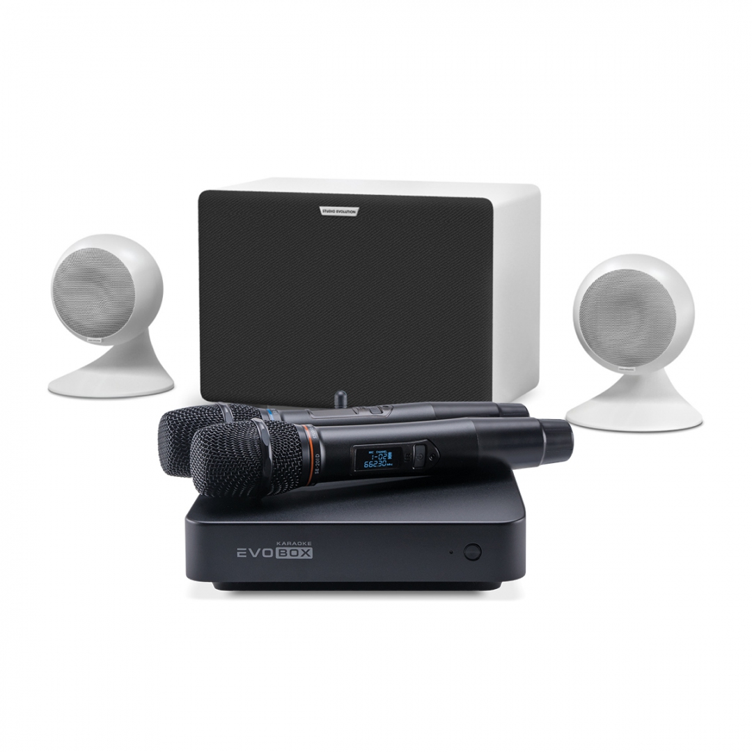 караоке-комплект EVOBOX Classic + EvoSound Sphere 2.1 в Кургане