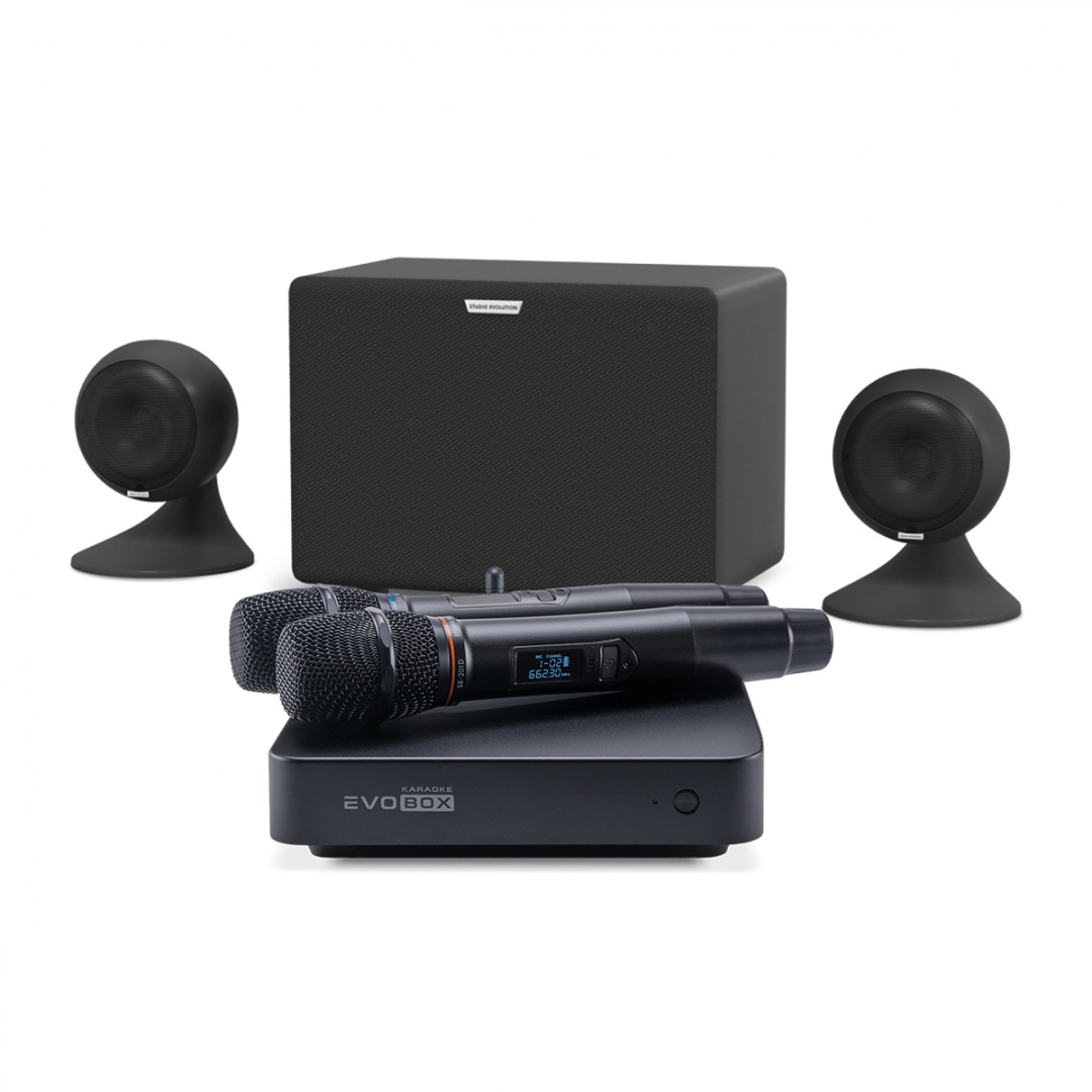караоке-комплект EVOBOX Plus + EvoSound Sphere 2.1 в Кургане
