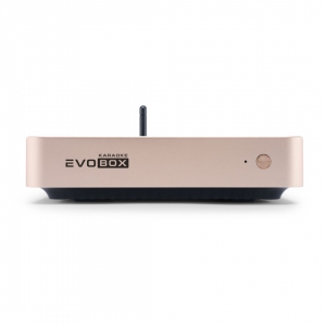 EVOBOX Plus караоке-система для дома в Кургане