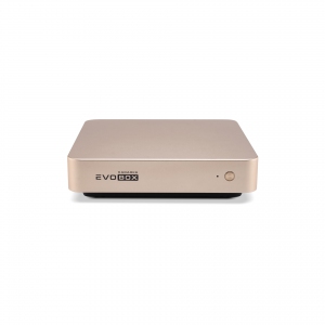 EVOBOX с микрофонами в Кургане